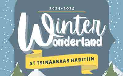 THES-DLES-Winter-Wonderland-feature-image