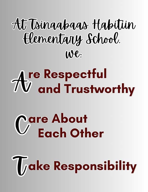 THES-ACT-STATEMENT