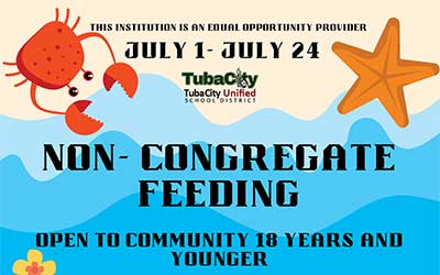 Summer Feeding Continues