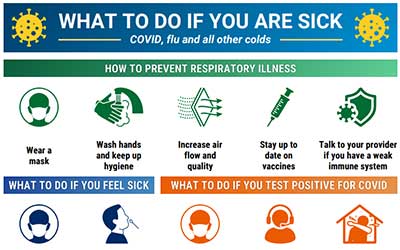What To Do If You Are Sick