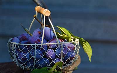 Increase to Adult Meal Pricing